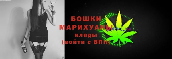 дживик Белокуриха