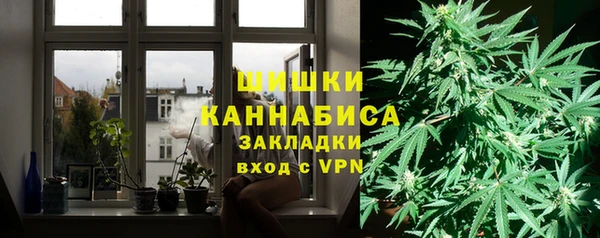 дживик Белокуриха