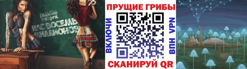 Галлюциногенные грибы Magic Shrooms Елабуга